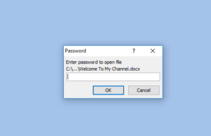 password protected word document